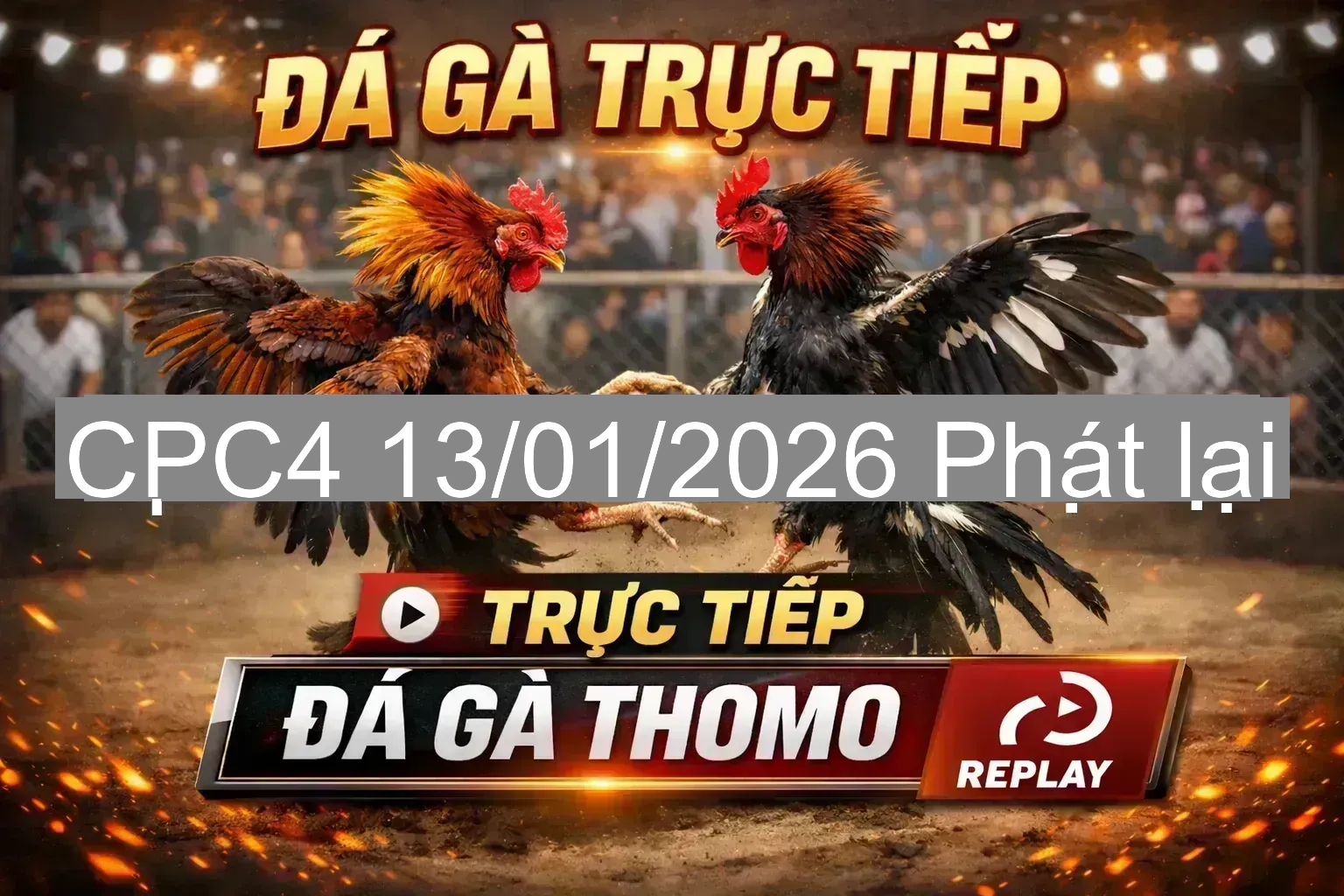 🔥 Xem video đá gà Thomo sân CPC4 & CPC5 ngày 13/01/2026